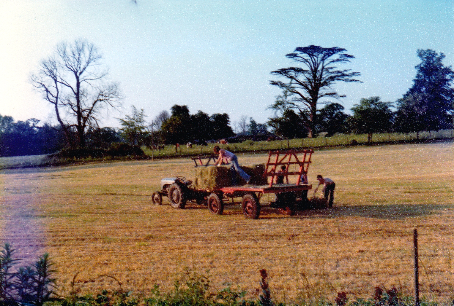 Topical Tuesday - Farming and the countryside 7th April